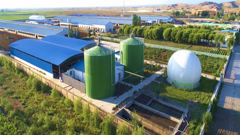 水果种植合作社年收入受天气影响大吗