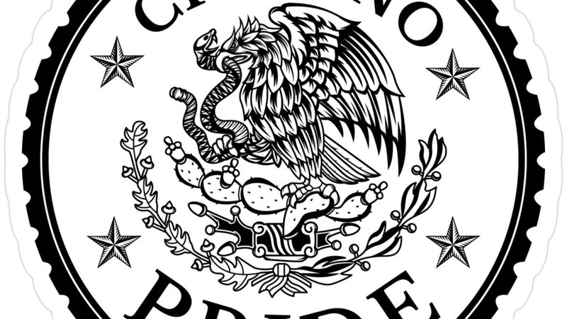 有机蔬菜，宝宝餐桌上的绿色守护