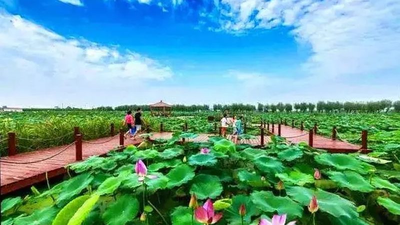 农民专业合作社代理记账公司排名