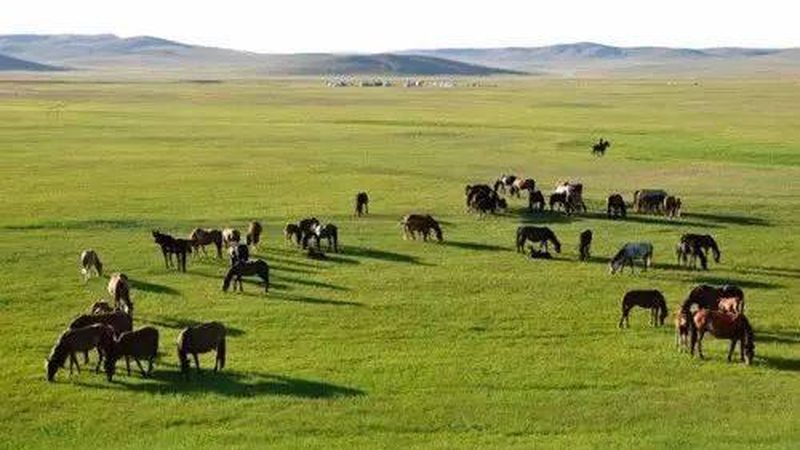 休闲观光农业产业园：盈利模式的多维解析