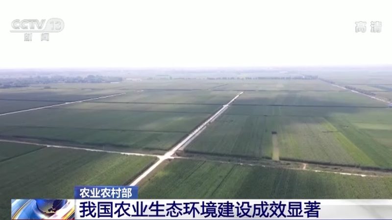 阳台种水果与菜园种植区别