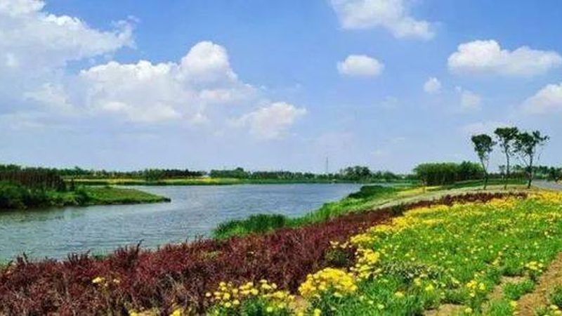 市场洞察：了解供需关系，精准定位