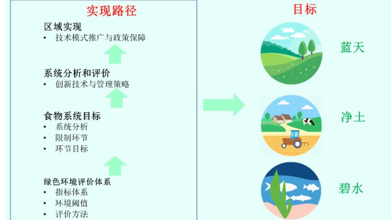 果蔬配送O2O平台参数对比