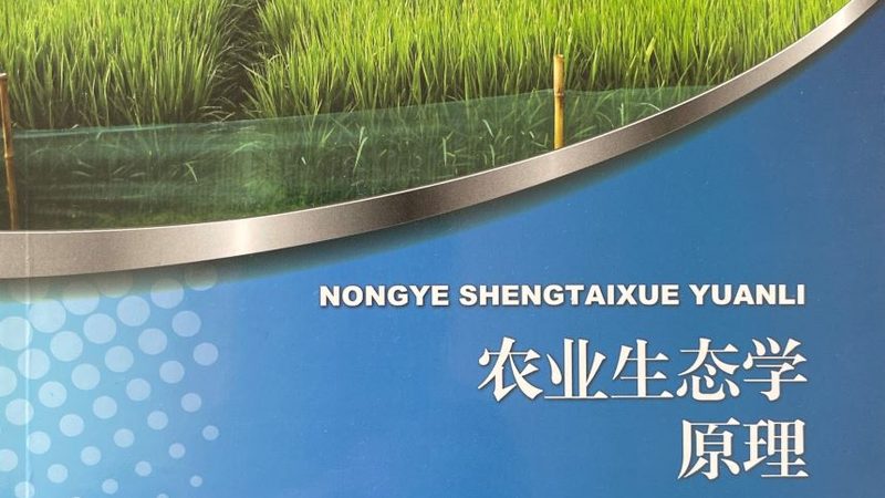 农业合作社补贴政策：农户增收新动力**