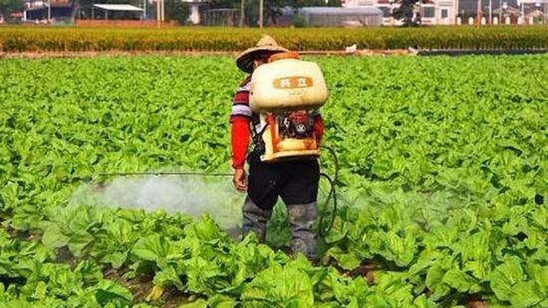 食材配送投标书：如何构建一个专业的目录结构