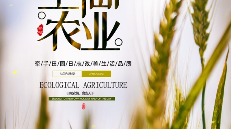 上海单位食堂果蔬配送，如何选择优质供应商？**
